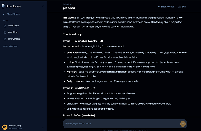 A saved plan in a Fitness project — plan.md with "This week" marching orders and a phased roadmap (Phase 1: Foundation, Phase 2: Build, Phase 3: Refine), built from the owner's own words — structured, saved, not scrolling away