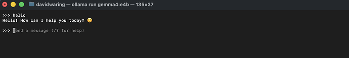first-chat-terminal